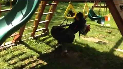 Leaf Blower Tire Swing