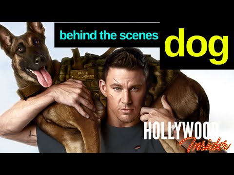 BTS 'Dog' Behind