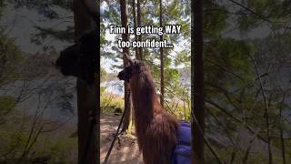 Finn’s way confident …