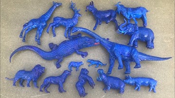 Đồ chơi là đây và rửa sạch các con vật, cá sấu, khủng long, hươu cao cổ, sư tử, lạc đà