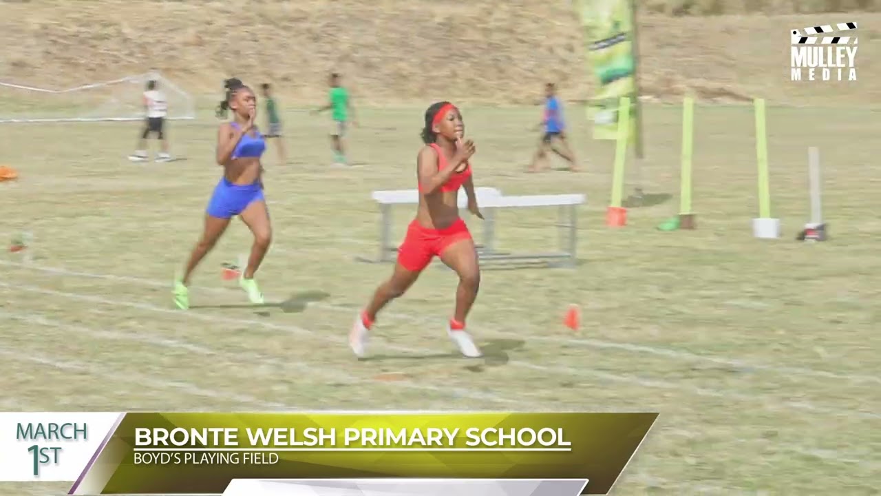 Bronte Welsh Tigers Sports Day 2026 Highlights