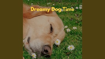 Beautiful Backdrops for Forgetting Mirrors