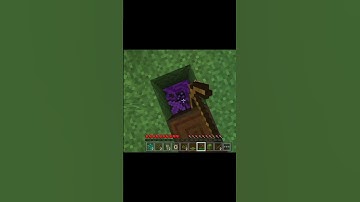 minecraft but everything you walk turn to a random block #shorts