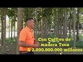 Finca para la venta en Santa Elena con Cultivo de madera Teca.🌳$ 2.000.000.000 millones negociables.