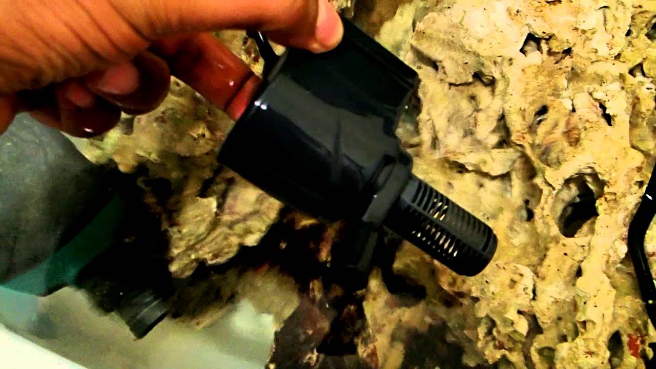 Saltwater reservoir and Curing of Live Rock YouTube