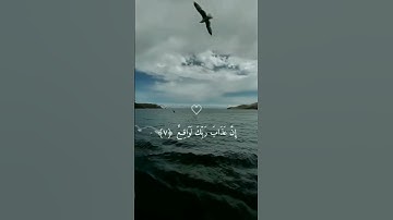 سورة الطور بصوت بلال دربالي ''تلاوة مؤثرة '' #قران_كريم #religion #السعودية