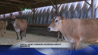 East Tennessee dairy farmers struggle as milk industry changes