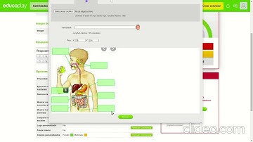 Creación juegos  ¿Cómo crear un mapa interactivo en Educaplay