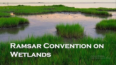 Ramsar Convention on Wetlands | Montreux Record | Wetlands in India| Environment & Ecology UPSC |