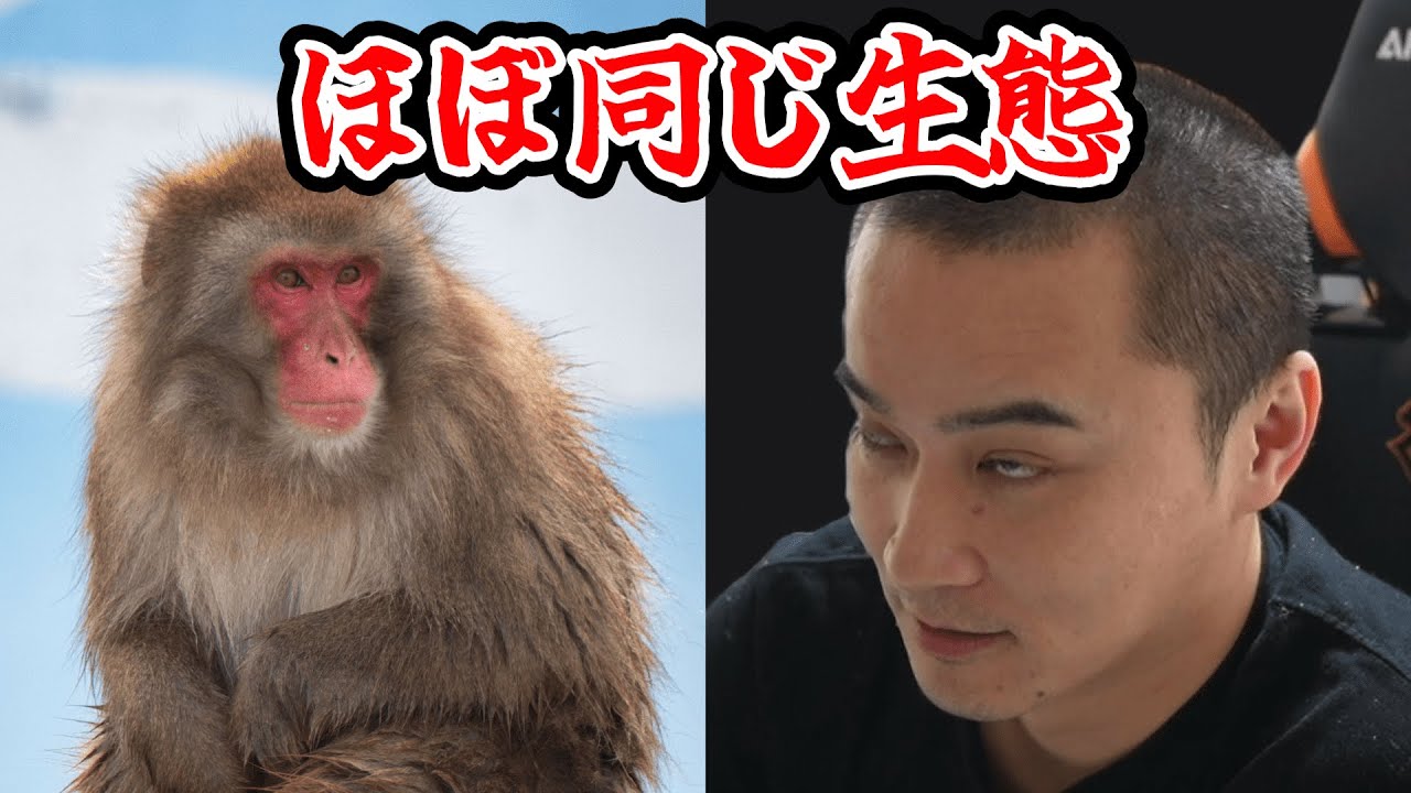 〇戯が出来ない38歳童〇加藤純一【2024/06/28】