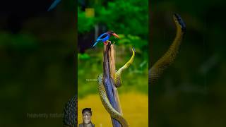 Egzo Ibrahim Beautiful Quran Recitation By Egzon Ibrahim