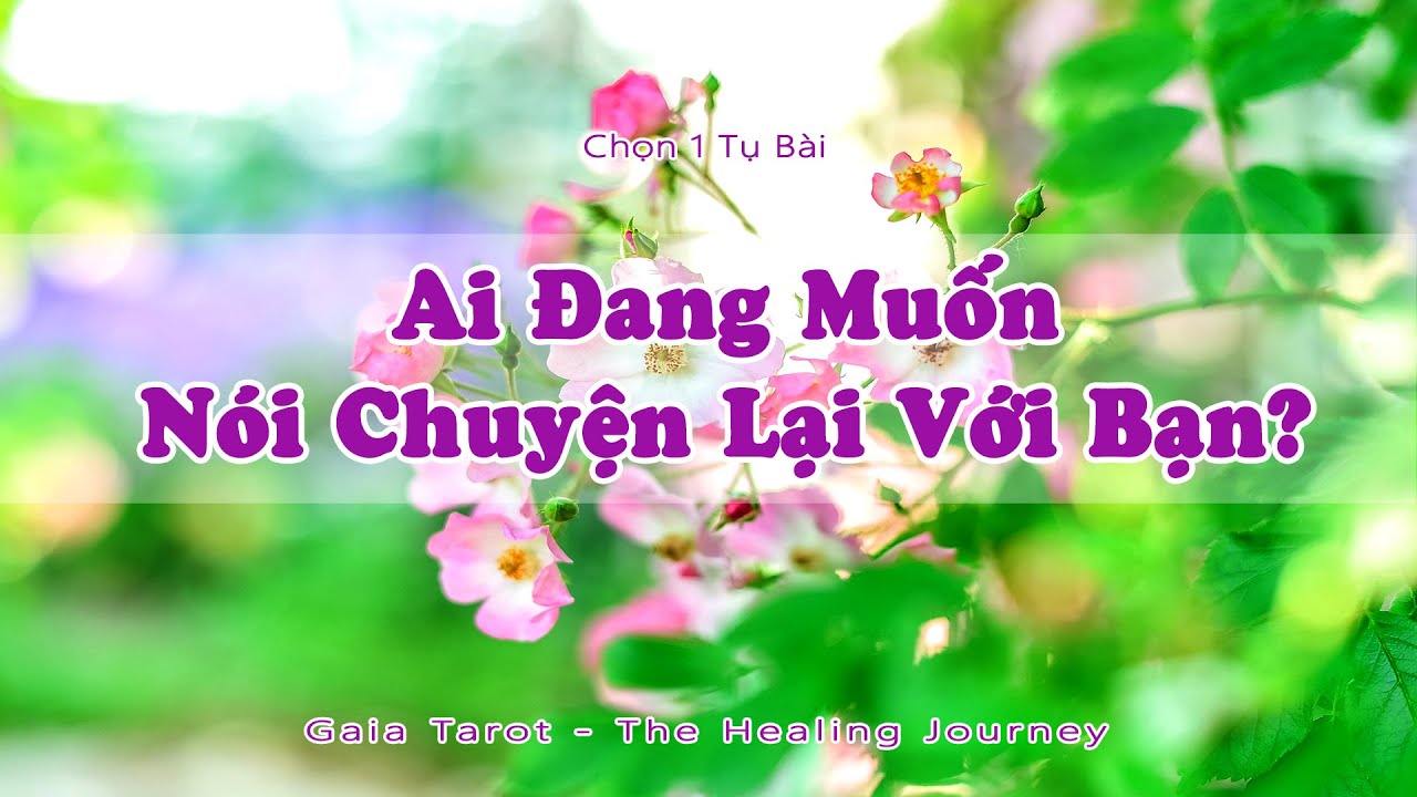 Ai Đang Muốn Nói Chuyện Lại Với Bạn?