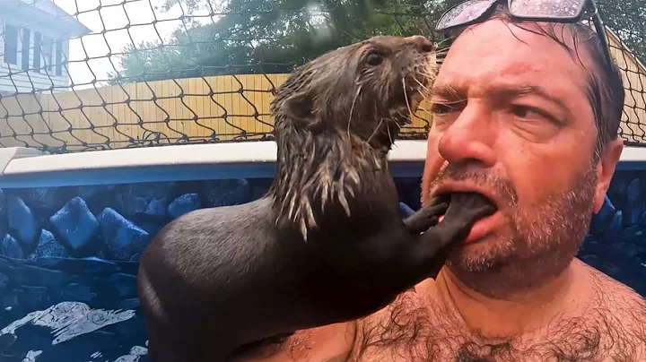 FUNNIEST Wild Animal Moments Caught on Camera 🤣 thumbnail