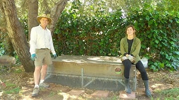 Continual Flow Worm Bin