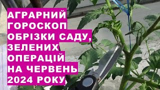 Аграрний гороскоп обрізки садових рослин та "зелених операцій" на червень 2024 року