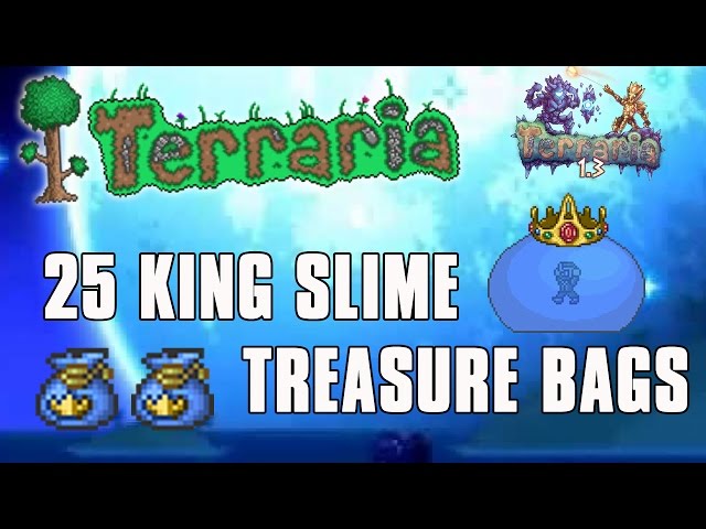 Terraria Treasure Bags