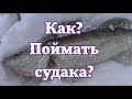 Как поймать судака