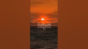 سر الحكمة في سورة لقمان | تلاوة تهز القلوب وتريح النفس 🌙