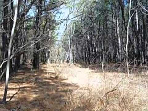 5317 Senseny Rd, Berryville, VA home video tour