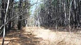 Homes for Sale - 5317 Senseny Rd Berryville VA 22611 - Lisette Turner