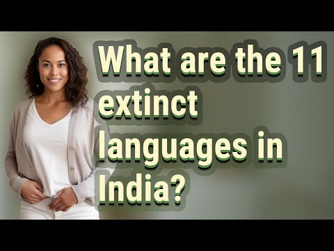 What are the
