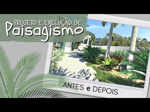 Vídeo: Criação De Um Jardim Monocromático