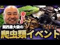 【大公開】レプタイルズフィーバーの爬虫類が凄かった...【爬虫類イベント】