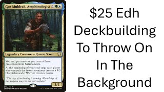 Start-To-Finish Budget Deckbuilding (With Thought Process Included)