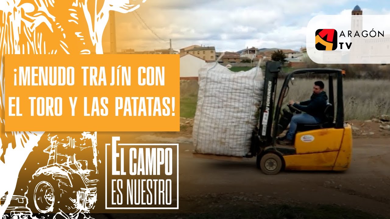 ¡Menudo trajín con el toro y las patatas!