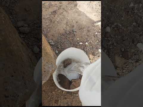 م ن ج ا ء ب ٱل ح س ن ة ف ل ه ۥ ع ش ر أ م ث ال ه ا سقيا الماء للحيوانات