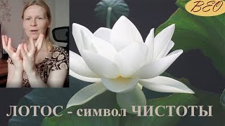 Мудра для сердца/ Мудра Лотоса/Падма мудра/Здоровое сердце/Mudras for Health/ Mudra for the heart