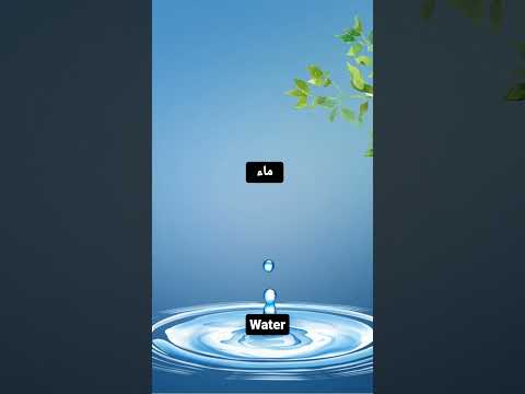 كيفية قول ماء في اللغه الانجليزيه