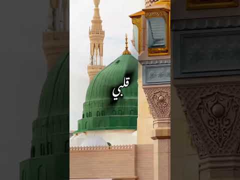 ما في مثل الهادي يابا #اكسبلور  #Madinah
