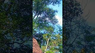 Surah Annas canel Sumantri1816