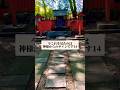 ⛩️今これを見たのは、神様からのサインです14 #神社 #心に響く言葉 #shorts #パワースポット #名言