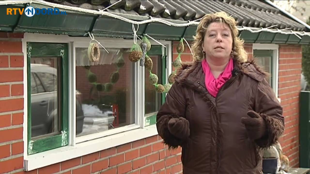 Harma Boer nieuwe weervrouw TV Noord YouTube Harma Boer nieuwe weervrouw TV Noord YouTube