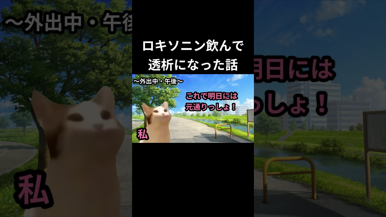 【猫ミーム】熱中症でロキソニン飲んで透析になった話 #おすすめ #猫ミーム #猫マニ #健康 #プチ知識