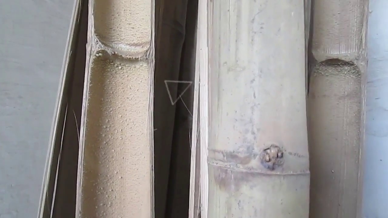 Brief Discussion on Kite Bamboo - Kites Korner