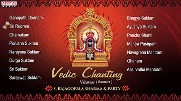 Vedic Chanting | S. Rajagopalsharma|| Sanskrit Devotional Jukebox | Aditya Bhakti |#vedicchanting