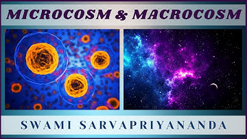 Microcosm and Macrocosm | Swami Sarvapriyananda