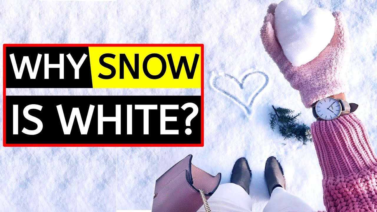 🤔 Why Snow Is White In Colour? education travel nature YouTube