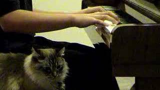 VAAO Khabhaye Talaee - Golden Dreams -    خوابهای طلایی screenshot 5