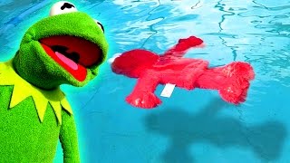Kermit the Frog Teaches Elmo How To Swim!
