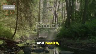 Unlocking Nature's Wellness Secrets