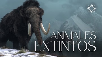 ¿Qué Puede Decirnos el Registro Fósil Sobre el Pasado? I Mundo Animal | Orígenes