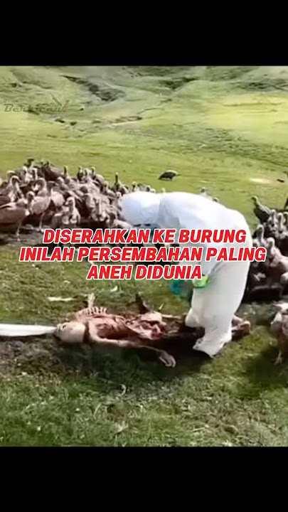 Handed Over to Birds, Strange Ritual in the World #kicaumania #birds #vulture #vulture