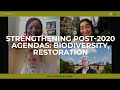 Strengthening post-2020 agendas: biodiversity, restoration