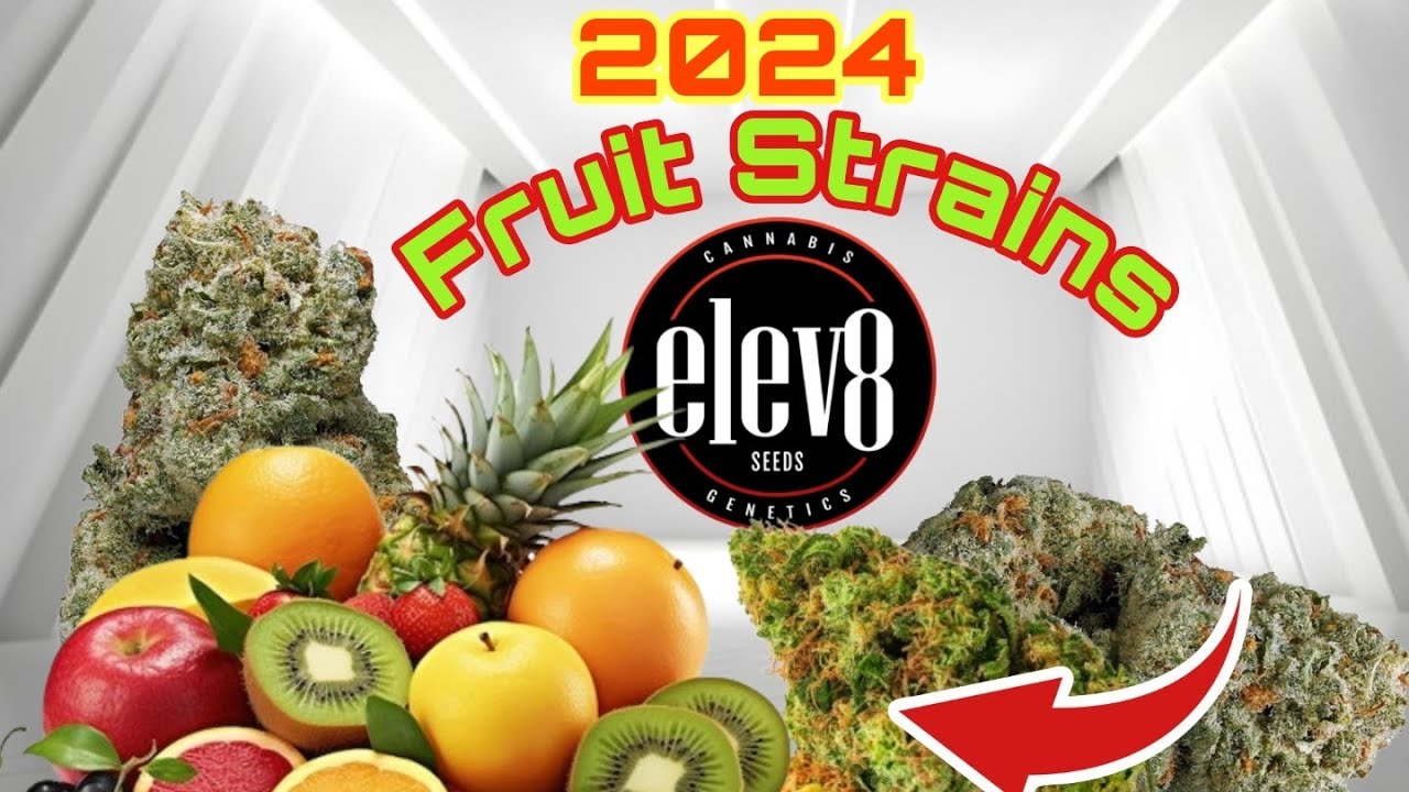 elev8 Seeds TOP 10 Must-Have Fruit Strains Of 2024 