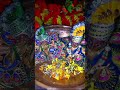 Jai shree Krishan 🙏 #trending #song #viral #ytshorts #krishna #janmashtami #2025