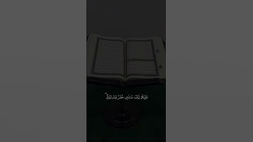 اكتب شيء تؤجر عليه#قرآن #اكسبلور #المصحف #quran #قران_كريم #راحة_نفسية #محمد_اللحيدان #سورة_الانسان